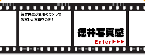 徳井写真感