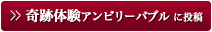 奇跡体験アンビリーバブル