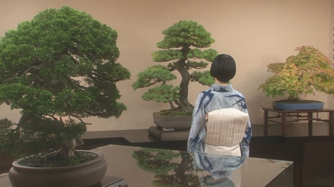 第78回：小さな緑に魅せられて 盆栽研究家 川﨑仁美