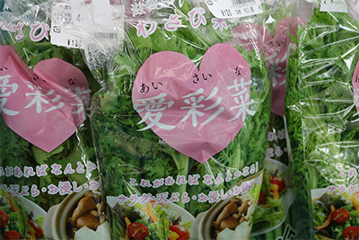 201905_yumeoibito_s002.jpg
