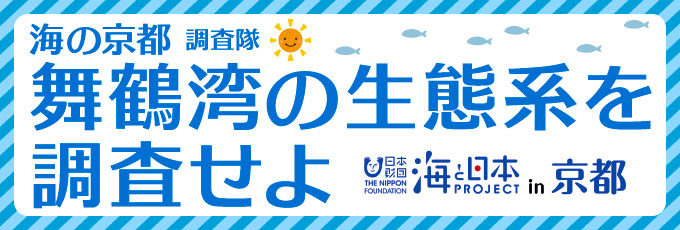 海の京都 調査隊