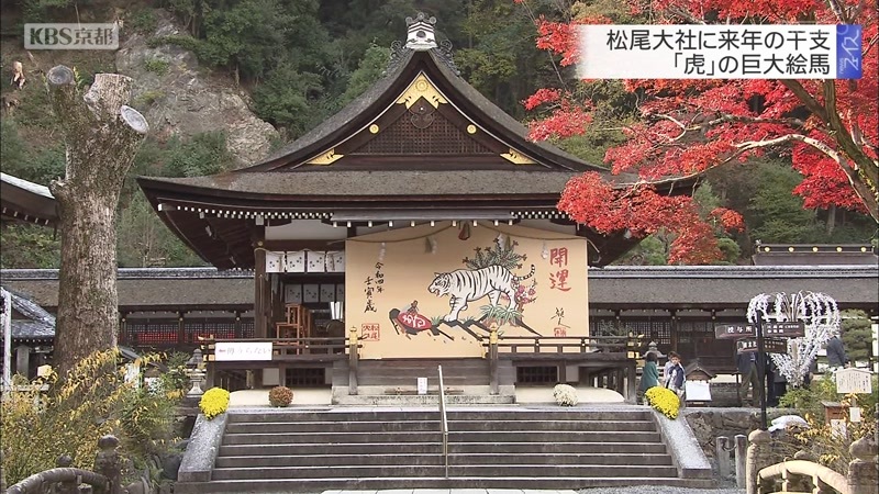京都 松尾大社に来年の干支 虎 の巨大絵馬 ニュース Kbs京都 京都 松尾大社に来年の干支 虎 の巨大絵馬 ニュース Kbs京都
