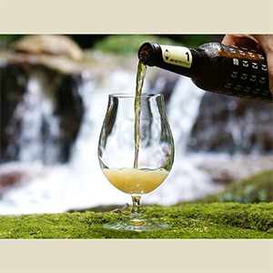 ことことビール