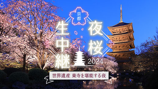 京都夜桜生中継2024 世界遺産東寺を堪能する夜