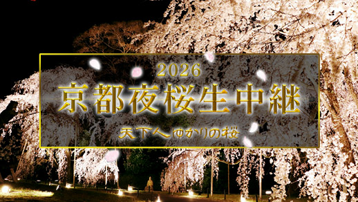 京都夜桜生中継2026 ～天下人ゆかりの桜～