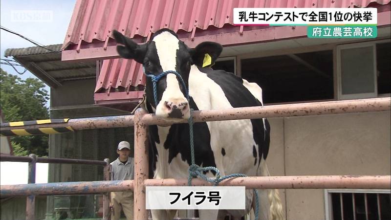 京都府立農芸高校　乳牛コンテストで全国1位の快挙