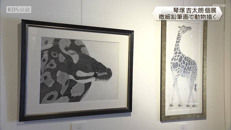 微細な動物画　琴塚吉太朗さん個展はじまる　京都市左京区