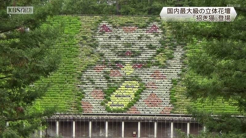 国内最大級の立体花壇に「招き猫」お目見え　京都府宇治市植物公園