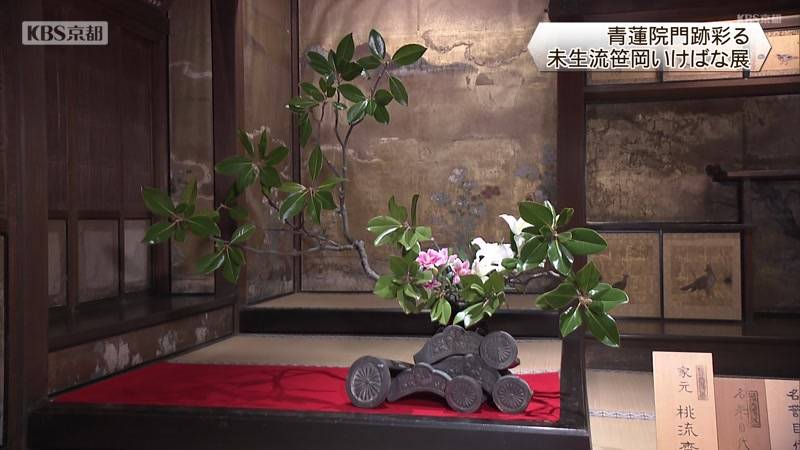 未生流笹岡いけばな展　京都市東山区青蓮院門跡