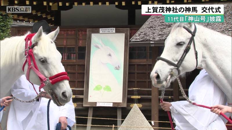 京都・上賀茂神社の神馬　交代式