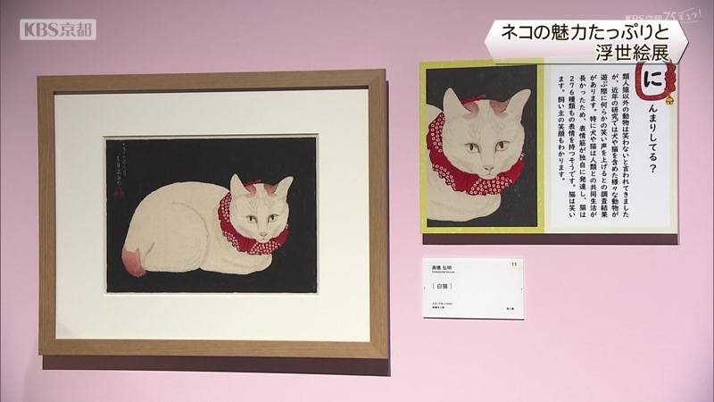 ネコの魅力たっぷりと　京都市内で浮世絵展