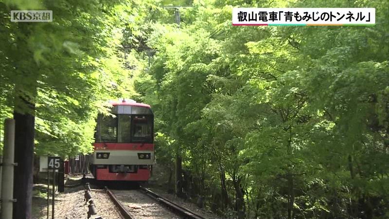 京都・叡山電車に乗って新緑を楽しむ　「青もみじのトンネル」