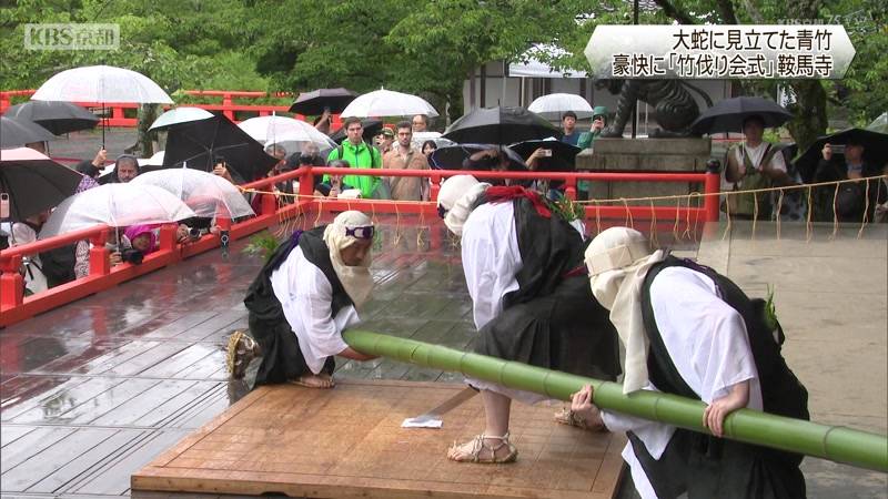 大蛇に見立てた青竹　豪快に「竹伐り会式」鞍馬寺