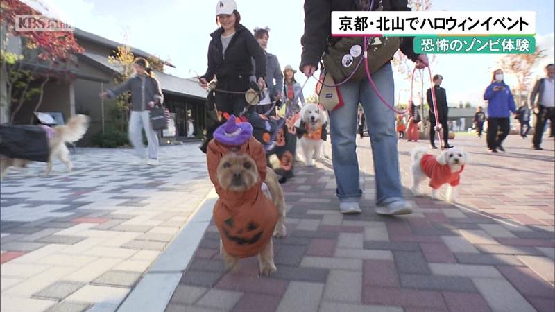 恐怖のゾンビ体験　京都・北山でハロウィンイベント
