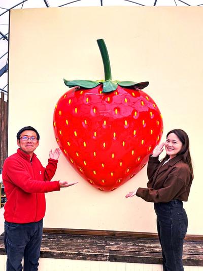 関西最大級のいちご狩り園 『おさぜん農園』