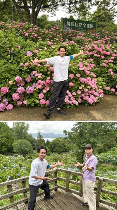 アジサイが見頃！『舞鶴自然文化園』