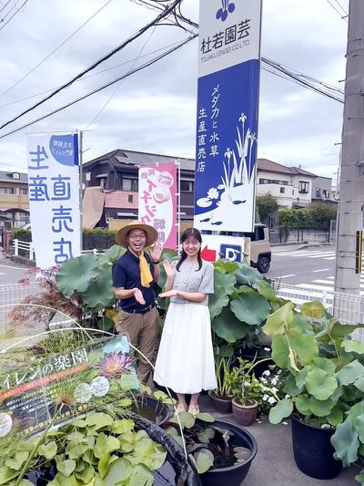 日本初！水生植物専門店  『杜若園芸』