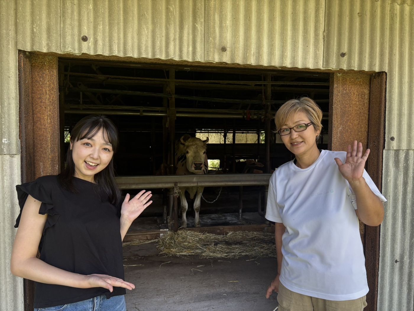 クローバー牧場