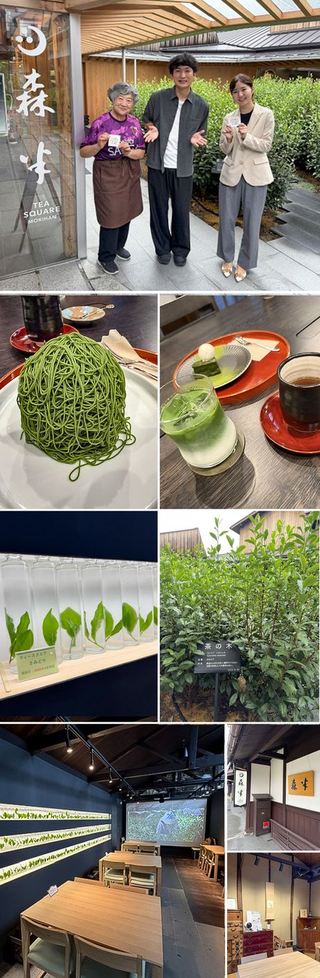 TEA SQUARE MORIHAN