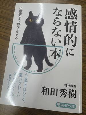 miki_20250809-1d0cab7c5e11b69b3df02826636d8e72b5531ac7.jpg