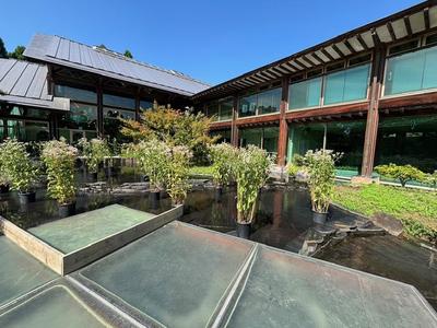 りこはんのラジオカーリポート♪:画像