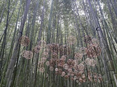 むーたんのラジオカーリポート♪:画像