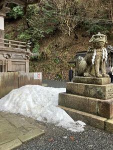 エルちゃんのラジオカーリポート♪:画像