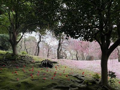 りこはんのラジオカーリポート♪：画像