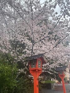 りこはんのラジオカーリポート♪:画像