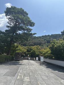 りこはんのラジオカーリポート♪:画像