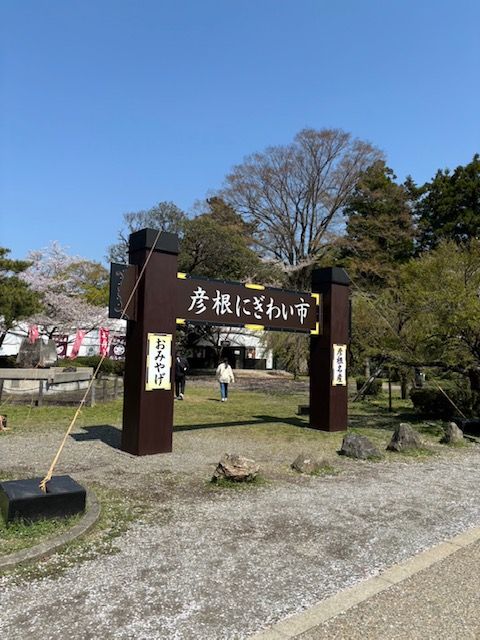 mori_20250414-9d8c6c3af5a897fadac90670408e099973fa4a1e.jpg