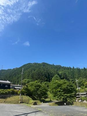 para_20250606-53065a6704a7bb00e2da1f1c1ade0d75c66965db.jpeg