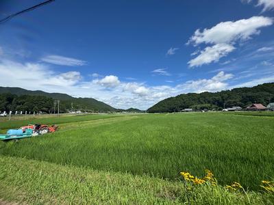 para_20250718-a117db17d200942d664f21aeddfe3aea0f14f048.jpeg