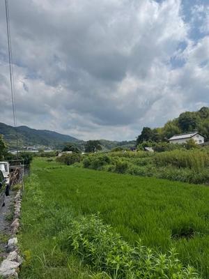para_20250801-9cf2b42f5a2b16b7057a2ed8801347d43d8aec2f.jpeg