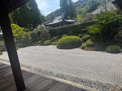 para_20250815-286c12d35ce25237c214c27fa4a37a0e0cd73593.jpeg