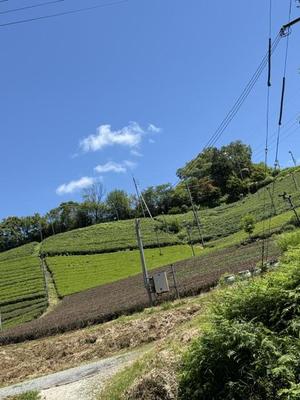 para_20260710-a71765353963fa0224a72a1162ab946382fb1438.jpeg