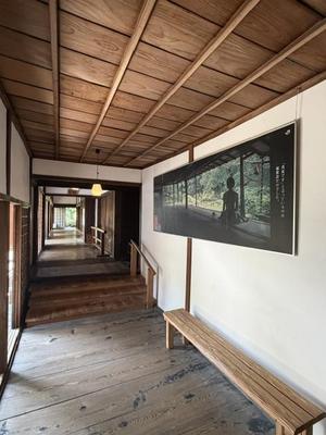 para_20260717-5f2c8b06b037762c8c9c204314ce54112ec05901.jpeg