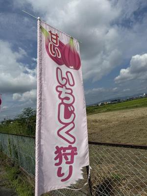 para_20260821-ca8fef3fc77b0c9f11e05ab18a4cd2c606e07bdb.jpeg