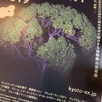 今日のお客様！：画像