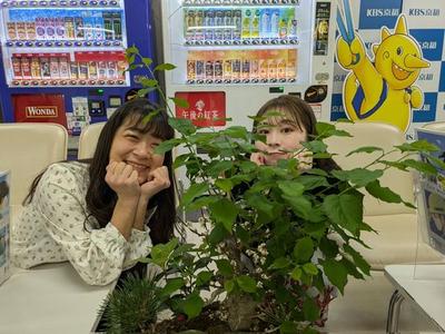 バレンタイン!!!:画像