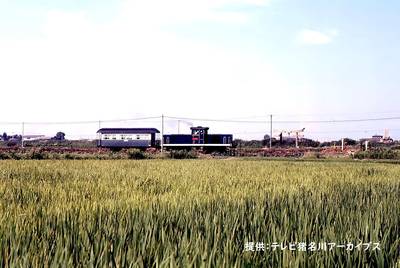 tabi_20240608-a0f8b1a2137407624627a1899ec849797b92f2f2.jpg