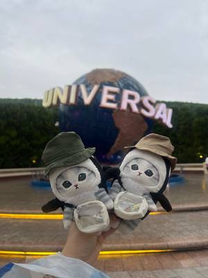 tabi_20250628-0eb1bc8b65687fe1792b3b49a4270b2f858ae9b4.jpeg