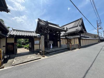 tabi_20250712-407bc94024d12a3ca1e163c5e74ca48a89beab71.jpeg
