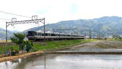 tabi_20250719-2de1e8e87877c3386d7b3ca4ce9fd568e510fe03.jpg