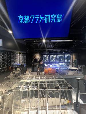 tabi_20250816-252bc5a9aaa2711b6327c6e5e933122e5ba0bbed.jpeg