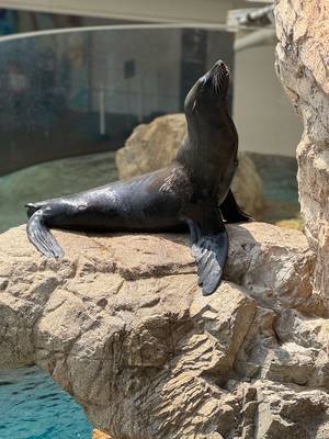 tabi_20250816-64f9b0443a023b153ea85b7a6c7899374440d390.jpeg