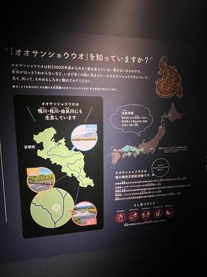tabi_20250816-855757395a9f640ca188d241eab491ded4a55a65.jpeg