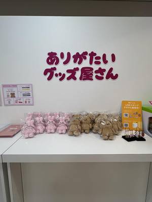 tabi_20250830-7b3f44ac752632ac1046284a6c7f343ff99d6e73.jpeg