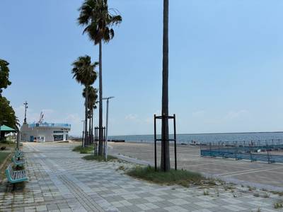 tabi_20250913-9286a3cb1f7d0ccf5905eeed82b6bb34cb0a9d73.jpg
