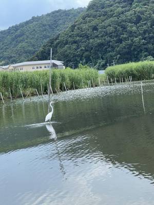 tabi_20250920-6b4ae4df8923b7d29d574e7f066b134ec120d6a0.jpeg